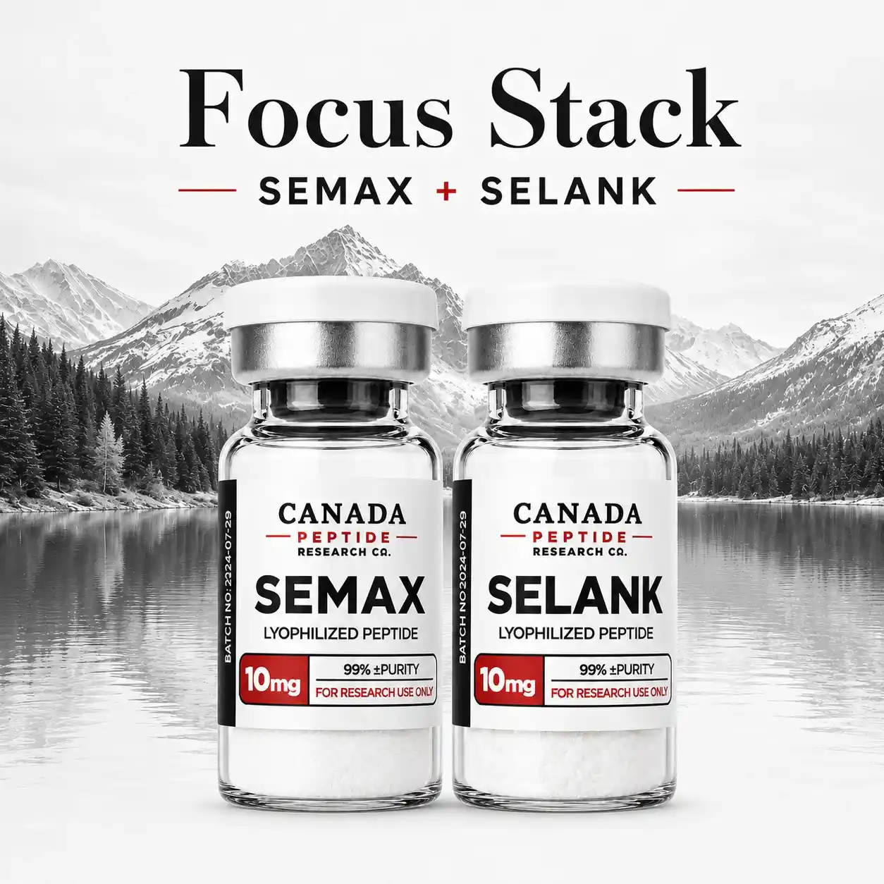 Focus Stack