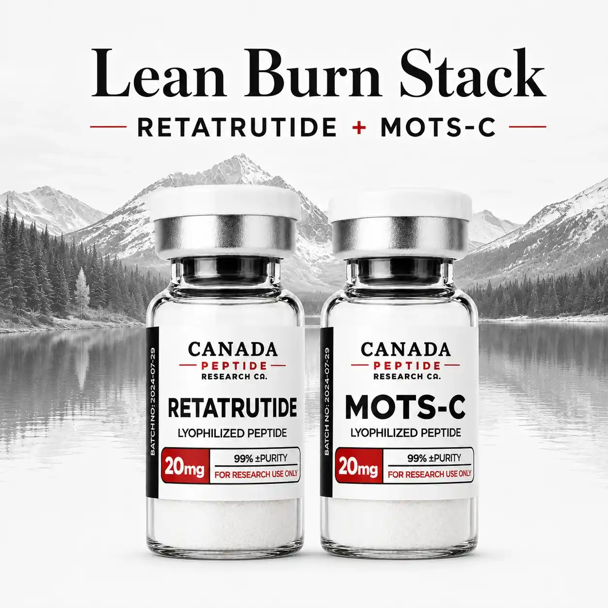 Lean Burn Stack