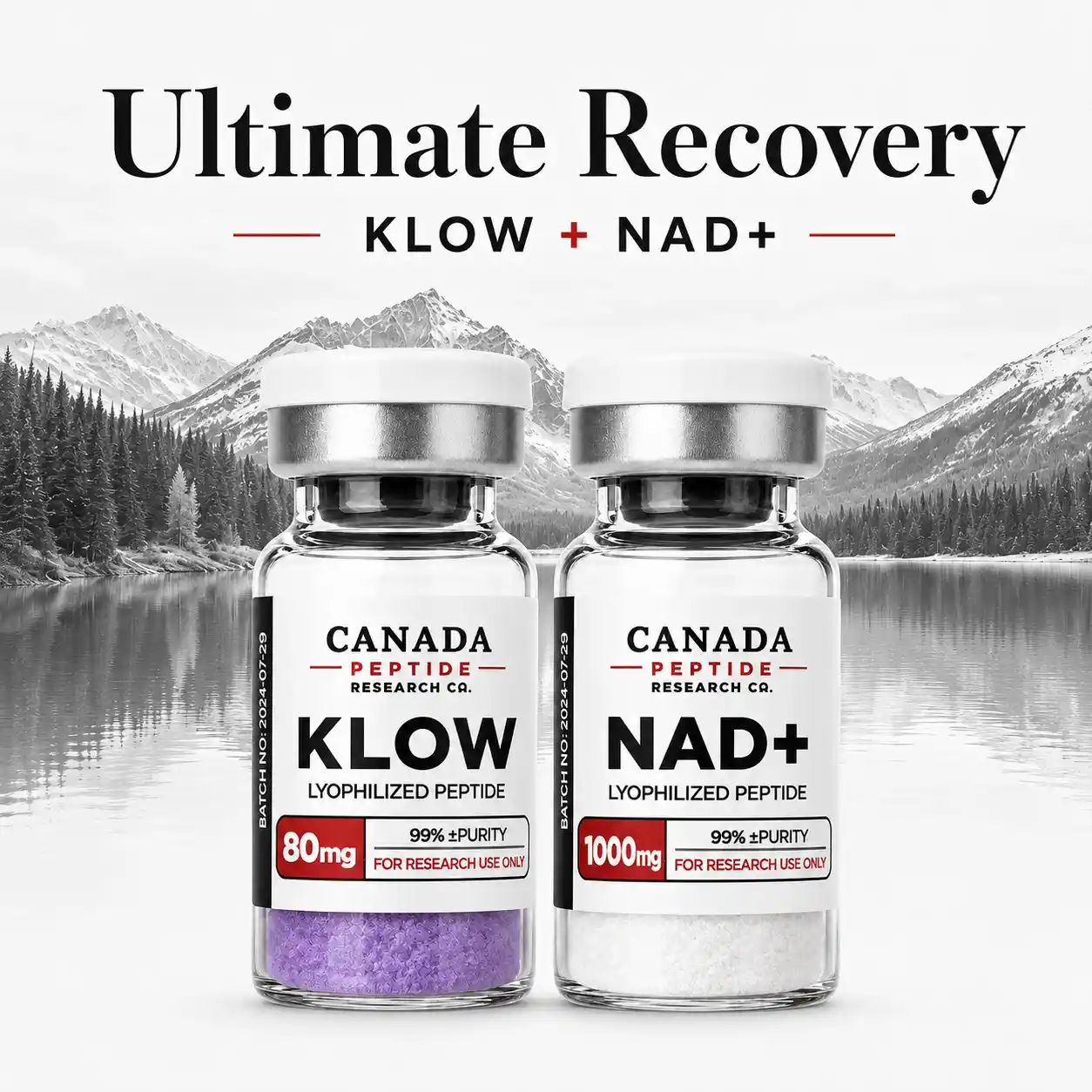 Ultimate Recovery